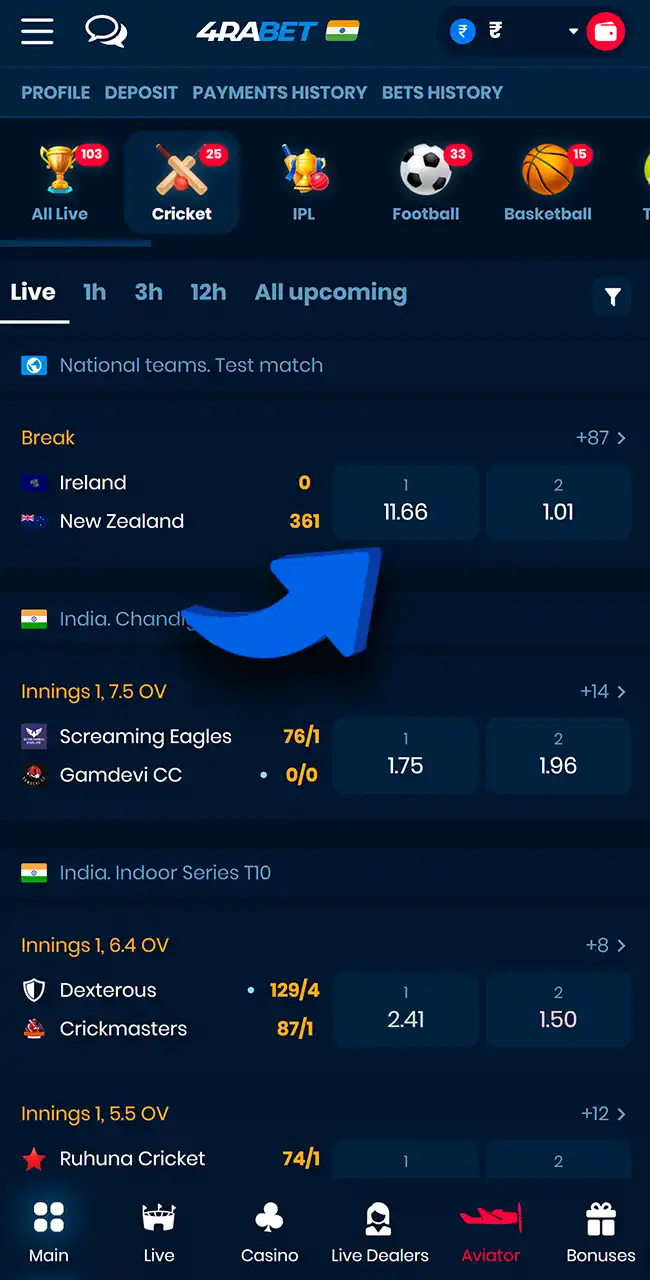 Find a cricket match on 4rabet online.